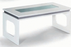 01 mesa de centro elevable pata plana